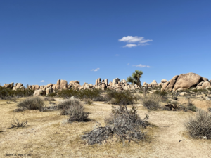 Rock formations in Joshua Tree NP